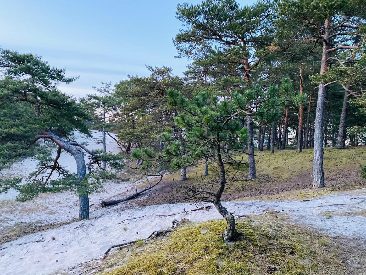 乌斯特卡Siedlisko Wytowno别墅 外观 照片